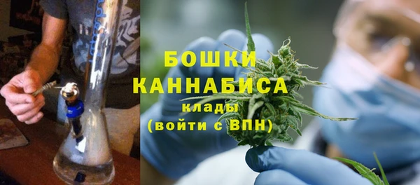 гашик Инсар