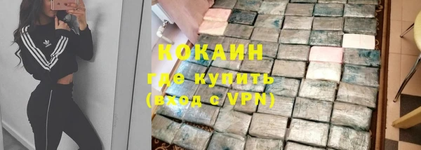 гашик Инсар