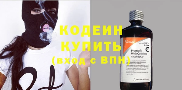 индика Иннополис