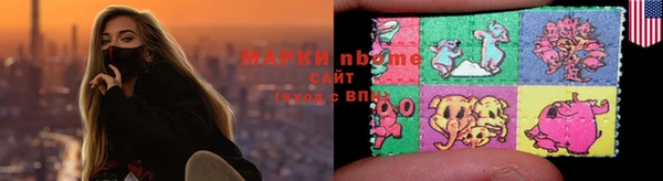 индика Иннополис