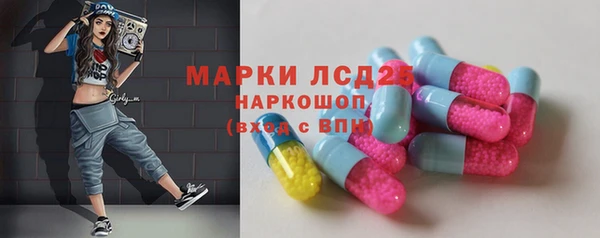 гашик Инсар
