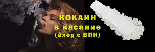 индика Иннополис