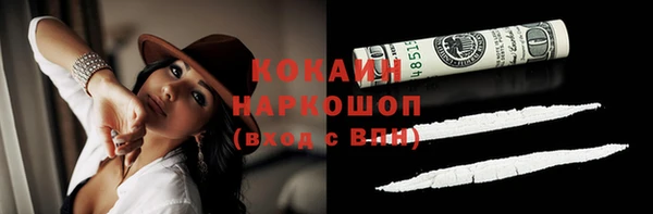 гашик Инсар