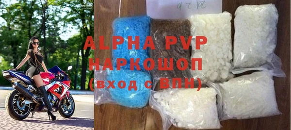 гашик Инсар