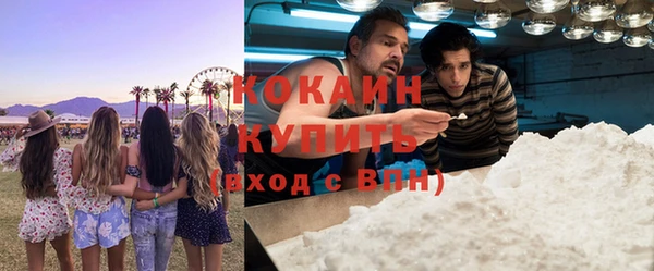 индика Иннополис