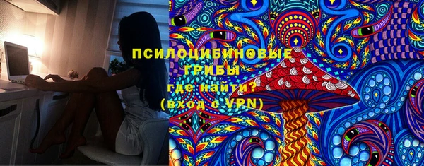 спиды Новозыбков