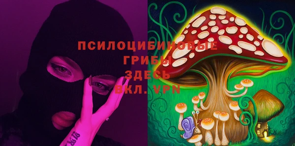 индика Иннополис