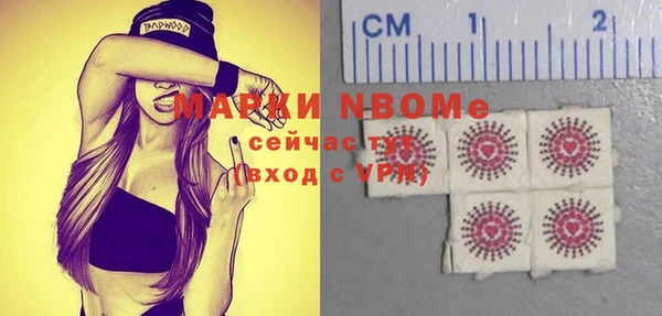 гашик Инсар