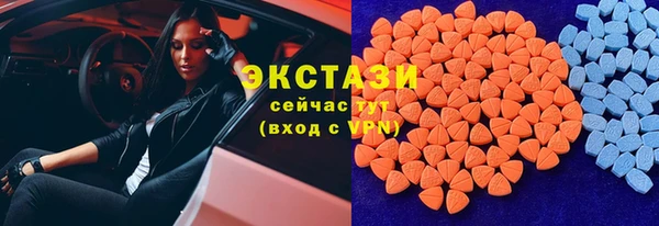 индика Иннополис