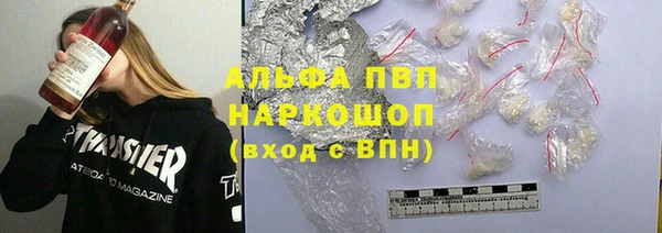 apvp Каменка