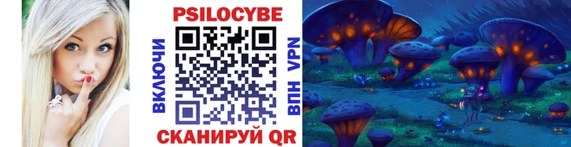 blacksprut как войти  Киренск  Галлюциногенные грибы Cubensis  где можно купить  